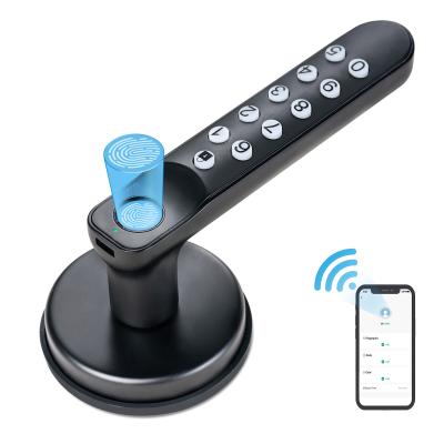 China Back-up Key, T02 Smart Fingerprint Doorknop, Sleutelloze toegangsluizen met toetsenborden, Smart Door Lock op Tuya App Te koop