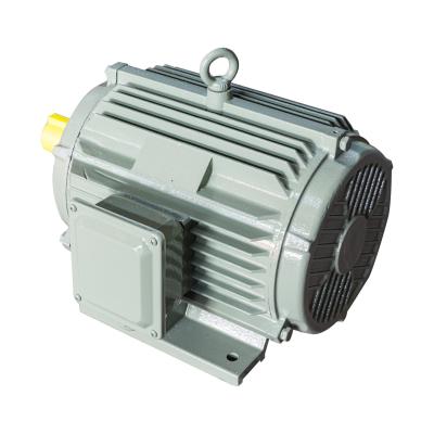China IP55 High Efficient Electric Motor IE3 Induction Motor Asynchronous for sale