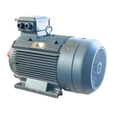 China AC Variable Frequency Motor Induction 3 Phase 11kw 15kw 18.5kw 22kw 30kw 37kw for sale