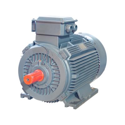 China AC IP55 Induction Motor Three Phase Fan Motor Electric 0.75KW To 355KW for sale