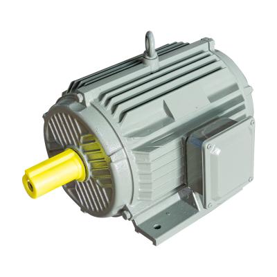 China IP55 High Efficiency Electric Motor Rigidity Ye5 Ie5 Electric Induction Motor for sale