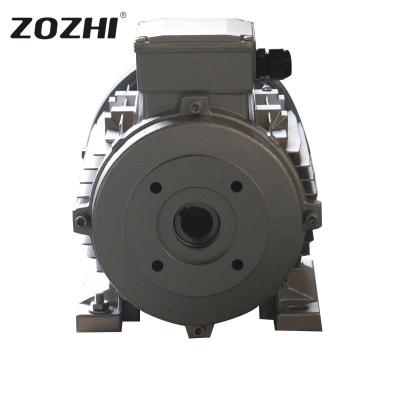 China Industrial 3 Hp Electric Motor Hollow Shaft Solution For Nettoyeur Haut Pression for sale