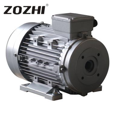中国 5.5kw High Speed Hollow Shaft Motor 100% Copper Winding For Steam Cleaning Equipment 販売のため