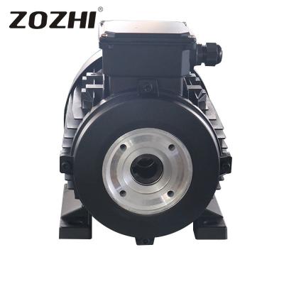 China Electric Three Phase Induction Shaft Motor 5.5kw 3 Phase Ac 380v 220V With Hollow Shaft for sale