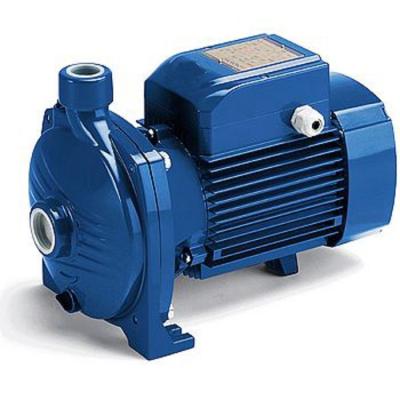 China Large Flow Centrifugal Water Pump 2HP / 1.5KW For Irrigating Gardens for sale