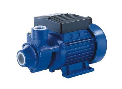 China 0.75HP PM Series Shallow Well Pumping Electric Motor Water Pump For Garden Irrigation for sale