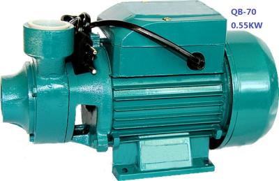 China 0.75HP 0.55KW Domestic Clean Water Pump For Pool Pumping / Garden Sprinkling for sale