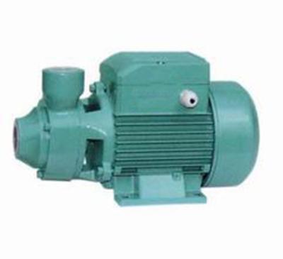 China Brass Impeller Domestic Water Booster Pump , 1.5HP Irrigation Water Pump for sale