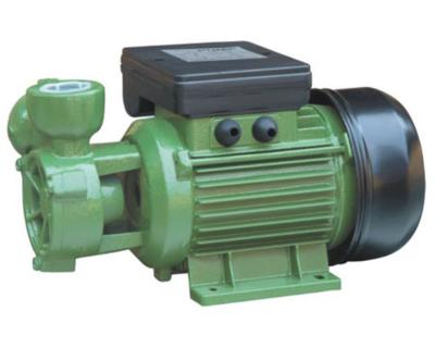 China DB Peripheral Electric Engine Water Pump 0.37kw Single Phase 50HZ for sale