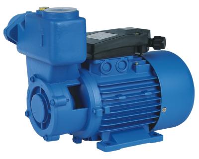 China Precision Casting Motor Housing Domestic Electronic Water Pump 1HP/0.75KW TPS  Series for sale