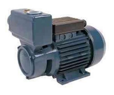 China TPS -70 Series Domestic Electric Motor Water Pump 0.75HP/0.55KW for sale