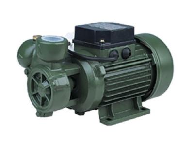 China 0.3HP Vortex Clean Water Pump Anti Rust Function For Pipe Booster DB-125 for sale