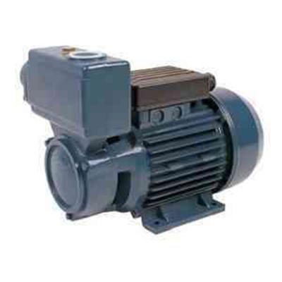 China TPS Domestic Electric Motor Self Priming Water Pump For Greenhouse Area1HP / 0.75KW for sale