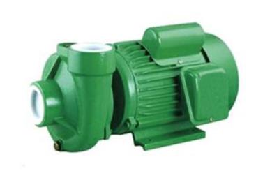China Agriculture Vegetable Water Centrifugal Pump Electric For Watering for sale