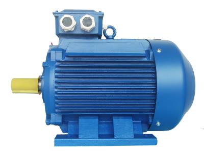 China High Voltage 3 Phase Induction Motor / Squirrel Cage Induction Motor for sale