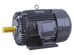 China AEEF Fully Enclosed Air Cooled 3 Phase Squirrel Cage Motor Corrosion Resistant for sale