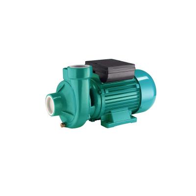 China Dkm Series Centrifugal Electric Motor Water Pump 0.75hp 110v 60hz For Sewage Area for sale