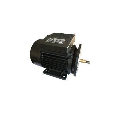 China Aluminum 2800rpm 0.75kw 1hp Asynchronous Ac Motor for sale