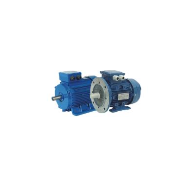 China IE3 Premium Efficiency Three Phase Asynchronous Motors 2-7.5kw Aluminum / Cast Iron for sale