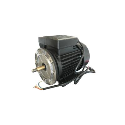 China Quite Runing AC Electric Motor Water Pump for Swimming Pool 50HZ / 60HZ for sale