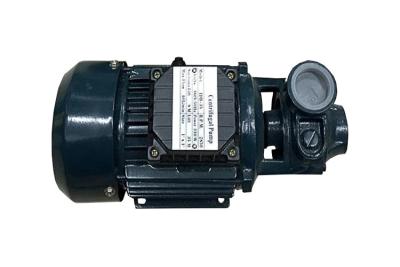 China Household Electric Motor Water Pump 1HP With Cast Iron Body ,  0.75KW Output Power for sale