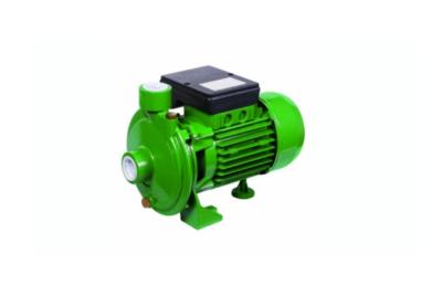 China 220V 1 Hp Scm Centrifugal Micro Electric Motor Water Pump Smooth Surface for sale