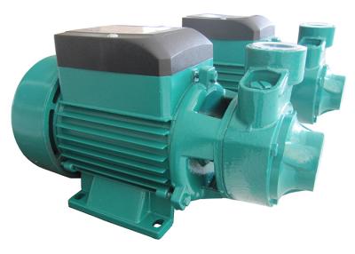 China 0.5 HP Micro Clean Water Pump , Peripheral Vortex Impeller Submersible Pumps Single Stage for sale
