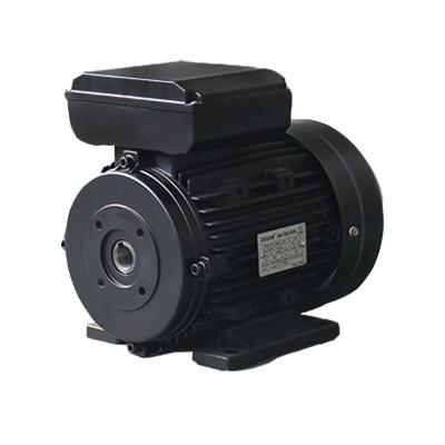 China Power Conversion With IMB5 Mounting Type 3 Phase Induction Motor Industrial-Grade for sale