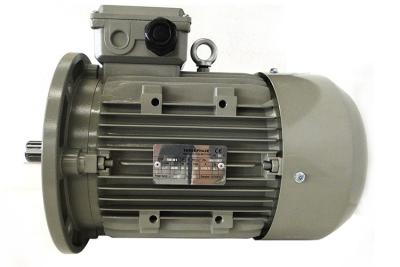 China 0.09kw-11kw Ms Aluminum Casing IEC Standard Motor , Three Phase Asynchronous Motor for sale