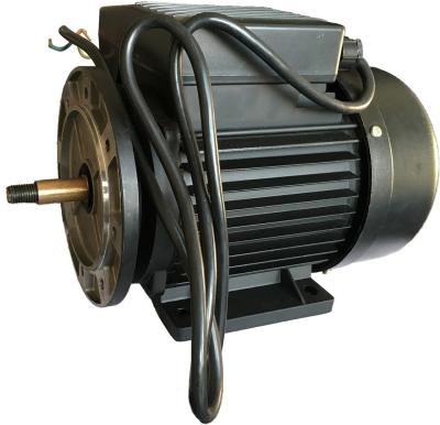 China Runing AC Motor Single Phase Induction Motor For Swimming Pool Water Pump for sale