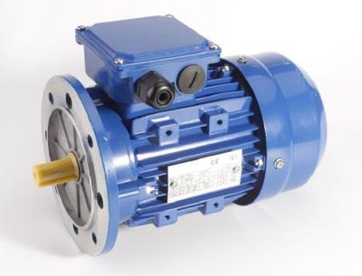 China 3Ph 380V AC Induction Motor With Aluminum Frame And Removable Feet for sale