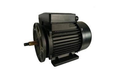 China High Efficiency 1.5HP Single Phase Induction Motor 2800RPM For Whirlpool Pump for sale