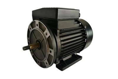 China Aluminum Housing Single Phase Induction Motor With NSK Bearing For Swimming Pump Driving for sale