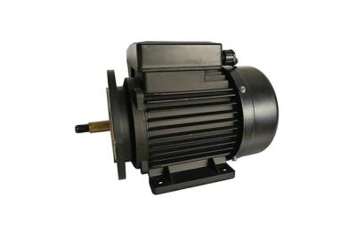 China Africa Market Single Phase Induction Motor With Safety  Performance For  House Pool Pump for sale