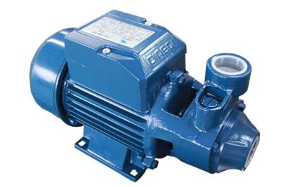China High Pressure QB60 Electric Engine Water Pump Working Votage 220V-240V 50HZ 370W for sale