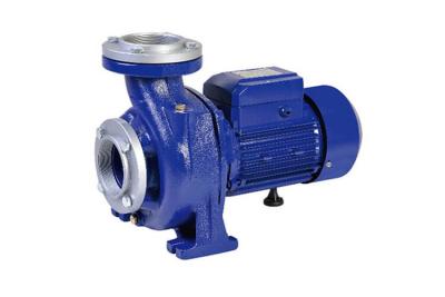China 2 HP 1.5 KW Centrifugal Water Pump High Flow Rates For Drainage / Gardening Irrigation for sale
