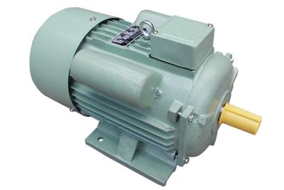 China 2 Pole Single Phase Synchronous Motor 0.75 HP For Small Type Drilling Machines for sale