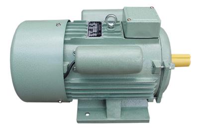 China Suitable Torque Single Phase Induction Motor 11.4 Current For Pumps / Fans for sale