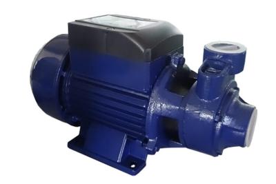China QB80 0.75 KW 1 HP Clean Water Pump 50 L/ Min Flow Max For Deep Well for sale
