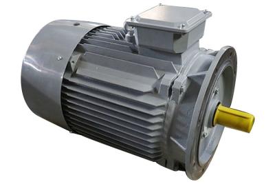 China 3 Phase 2 Pole Induction Motor Cast Iron Y2-132M1-2 10kw Small Variable Speed for sale