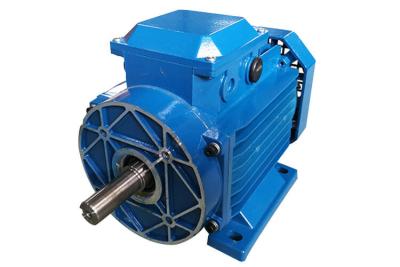 China IE1 3 Phase Induction Motor 400v 50Hz MS Aluminum Body Energy Saving High Efficiency for sale