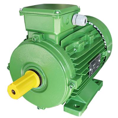 China Squirrel Cage 3 Phase 4 Pole Induction Ac Motor 0.75kw For Woodworking Machinery for sale