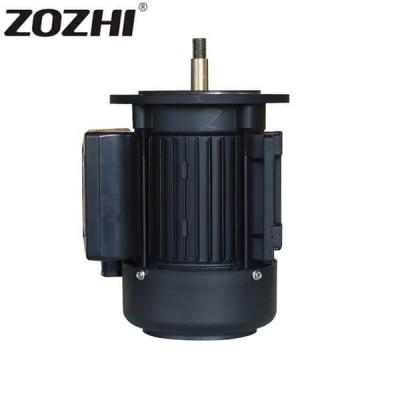 China 1.5Hp Single Phase Electric Motor , 220V Speed 2800 Swimming Pool Pump Motor MYT801-2 for sale