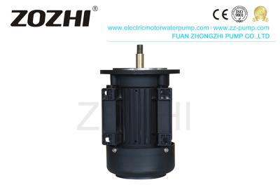 China Swimming Pool Pump Single Phase Induction Motor 0.75HP/0.55KW Aluminum Housing for sale