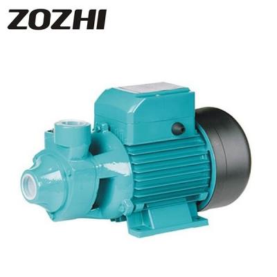 China QB Series Peripheral Water Pump , Agricultural Water Pump 220v 50hz 0.5hp-1.5hp for sale