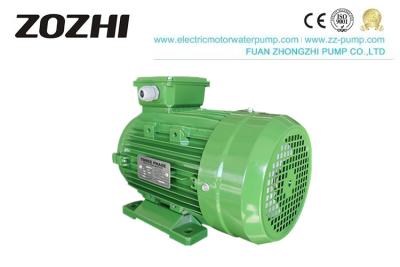 China IE2 IEC Standard Three Phase Induction Motor Fan Cooling IP55 Class F 2 Pole for sale
