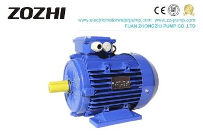China Three Phase AC Electric Asynchronous Motor IE3 Series Premium Efficiency 60Hzv for sale