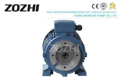 Cina Il motore idraulico 2HP 3HP 5.5HP 7.5HP dell'asse interna di IP54 IP55 per macchinario della pressofusione in vendita