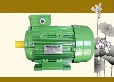 China Asynchronous Electric Pump Motor , Three Phase Induction Motor IEC1 IEC2 IEC3 for sale