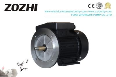 China Low Noise Single Phase Induction Motor 2 Pole For Inground Swimming Pool Pump for sale